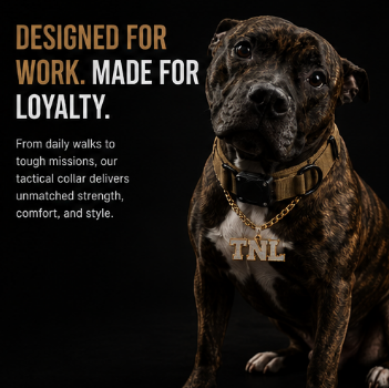 Waterproof dog Collar with Control Handle, Alloy Buckle And AirTag Case.