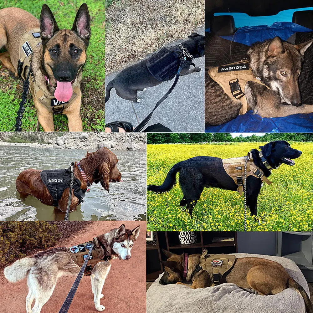 Large Dog Harness K9 Training Vest Military Tactical Medium Dog Harnesses