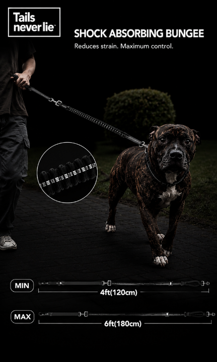 Heavy Duty Dog Leash with Elastic Bungee for Medium & Large Dogs